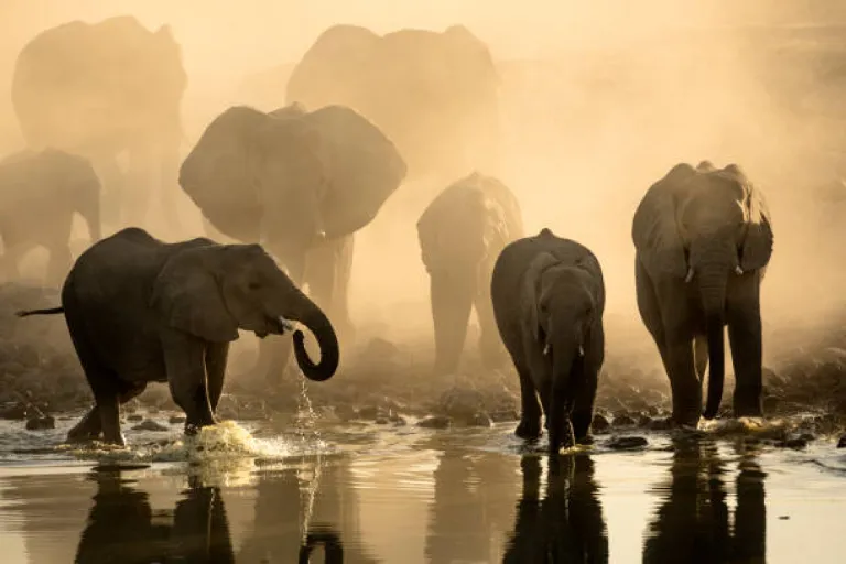 Okavango Delta, Botswana