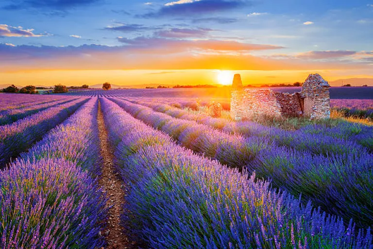 Provence, France