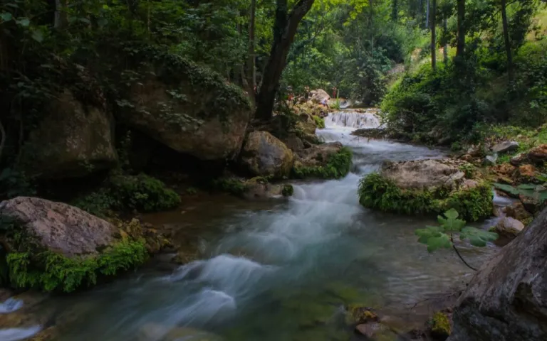 Bhatsa River Valley