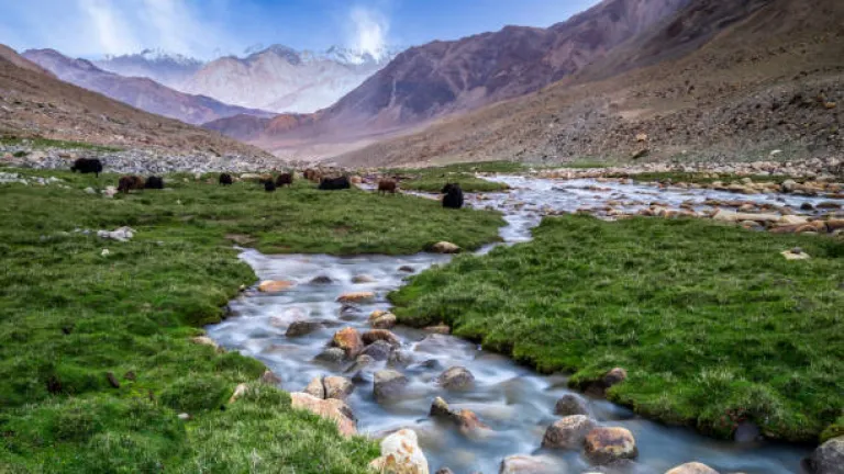 Nubra valley