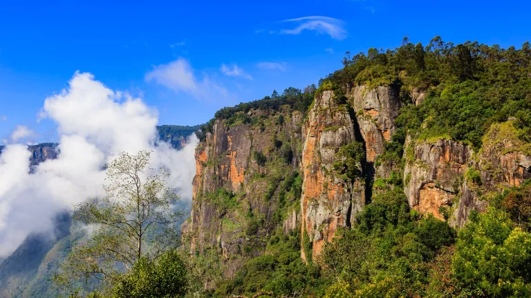 Kodaikanal Tamil Nadu