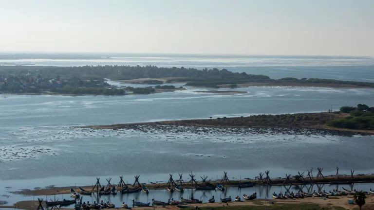 Pulicat Lake Tamil Nadu