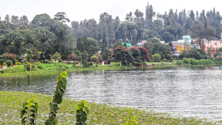 Yercaud Tamil Nadu