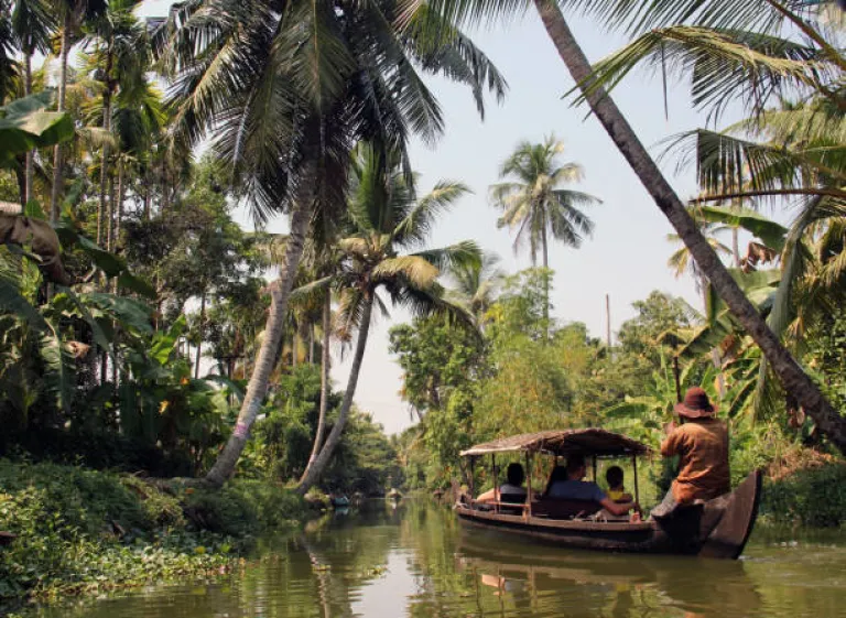 Top Activities in the Kerala Backwaters