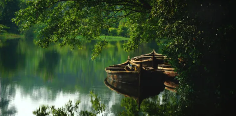 The Kerala backwaters