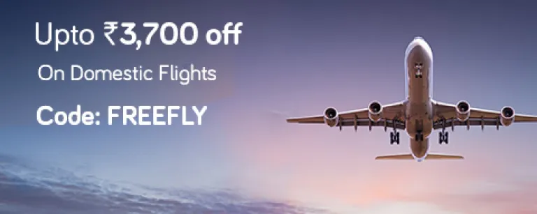 Domestic flight offers 