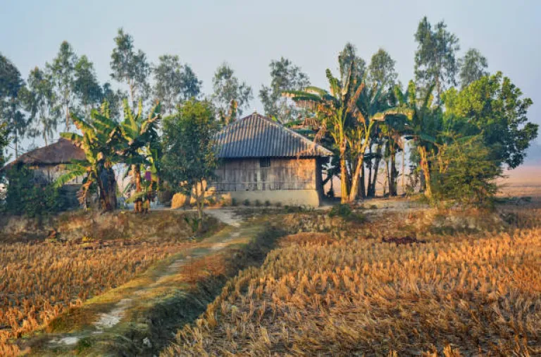 Sundarbans Village tour