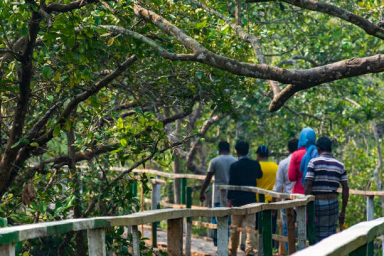 Sundarbans Trekking and Nature Walks