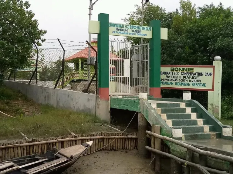 Sundarbans Watchtowers