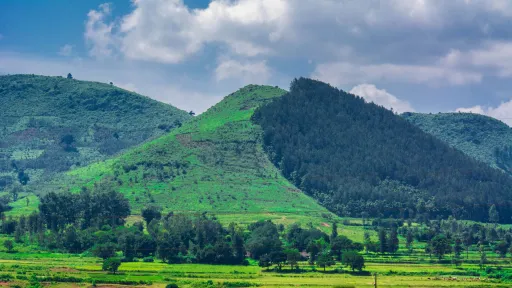 image for article Best Time To Visit Araku Valley: When to Visit and Not Visit!