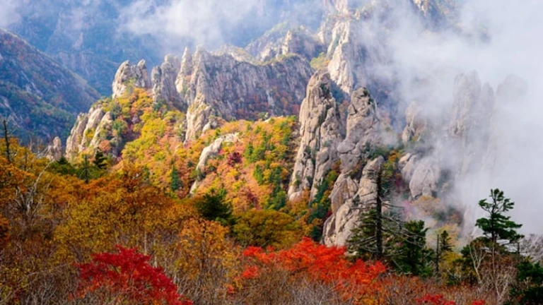 Hiking during autumn in Gangwon Province