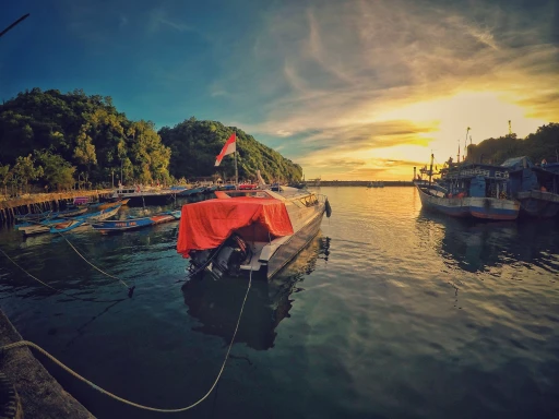 image for article Travel Guide to Indonesia from India 2023