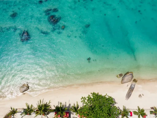image for article Top 5 Airbnbs in Ko Samui: Your Ideal Stay