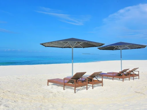 image for article  Top 6 Airbnbs in Maldives for an Idyllic Island Escape!