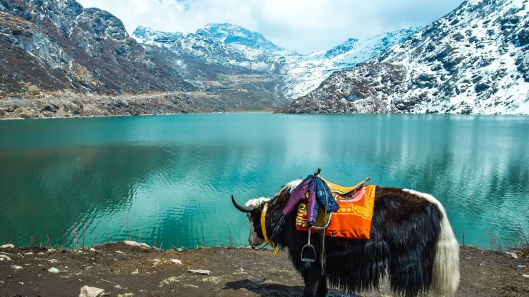 Gangtok, Sikkim