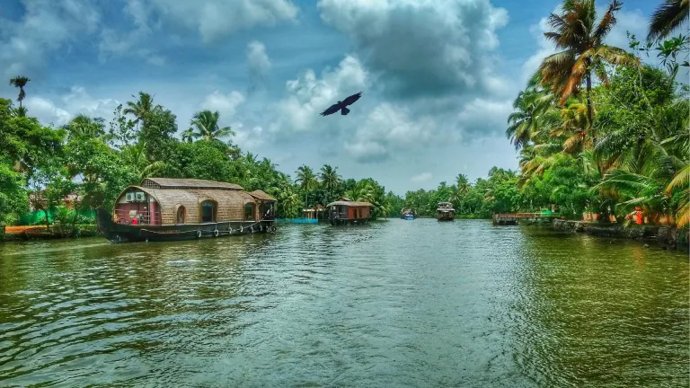 Kerala Backwaters
