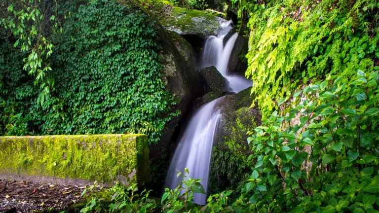 Shivapuri Nagarjun National Park