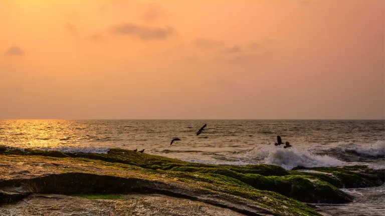 Mangalore 