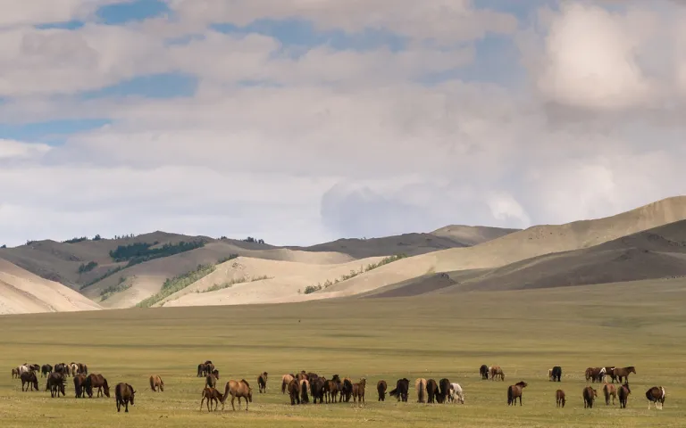 Mongolia