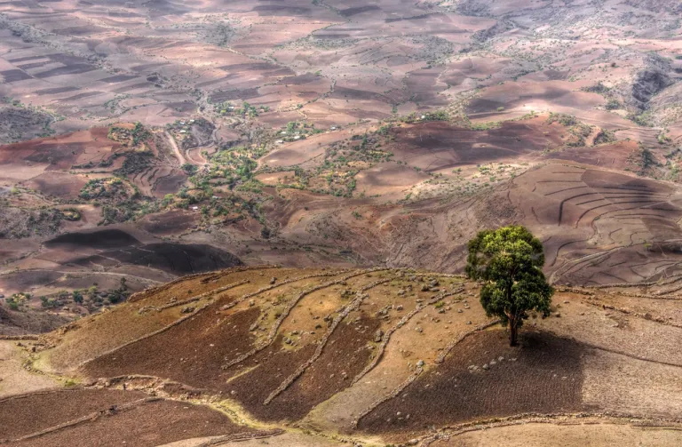 Ethiopia