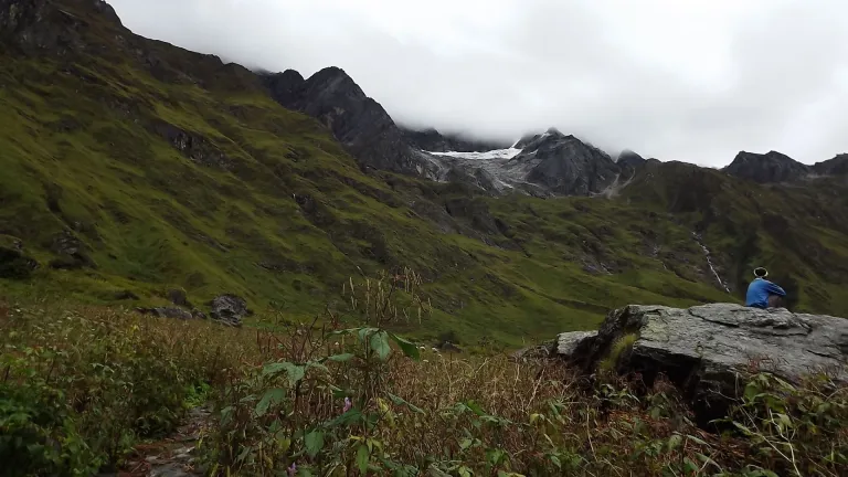 Valley of Flowers Trek, Uttarakhand