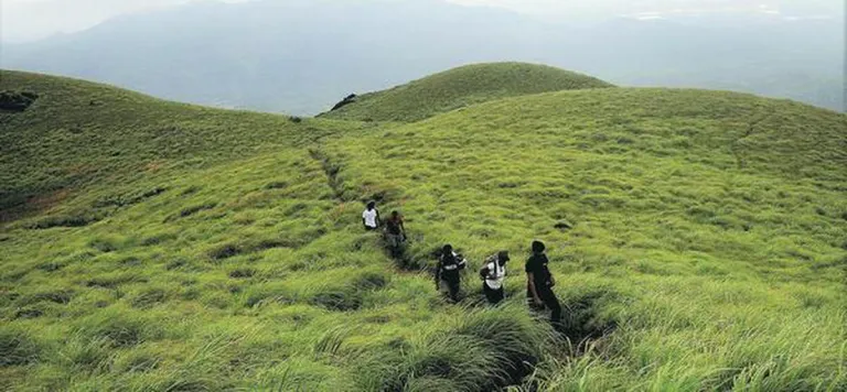 Chembra Peak, Wayanad, Kerala