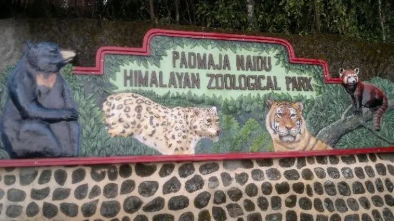 Padmaja Naidu Himalayan Zoological Park, West Bengal