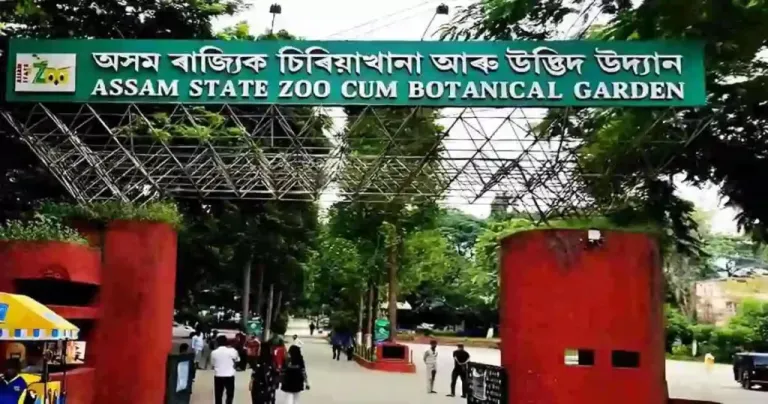 Assam State Zoo and Botanical Garden, Assam