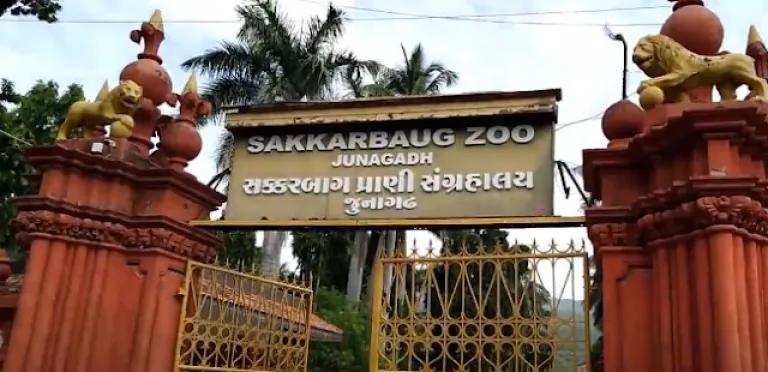 Sakkarbaug Zoological Park, Gujarat