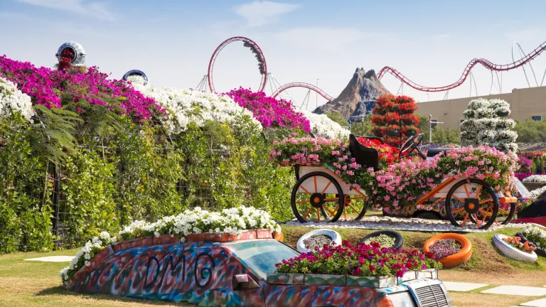 Dubai Miracle Garden