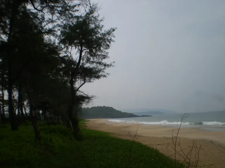 talpona beach goa