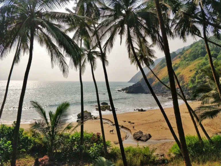 Kakolem Beach goa