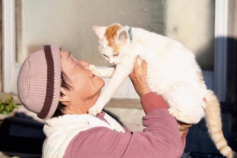 Aoshima - Cat Island