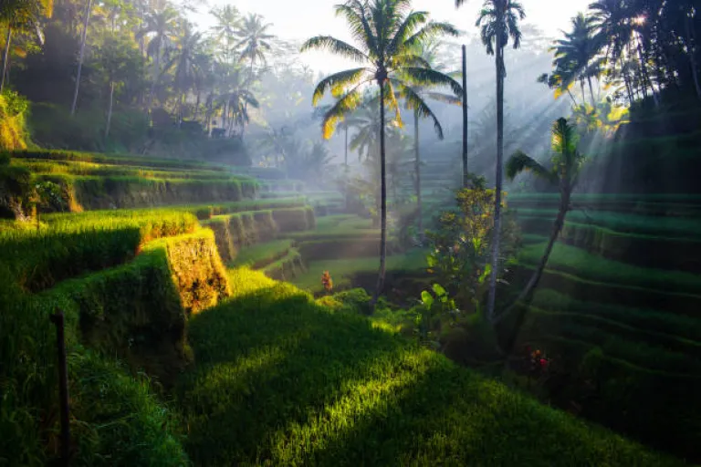 Bali is the perfect mix of adventure, culture, and pure bliss.