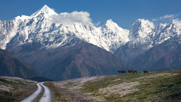 Munsiyari, Uttarakhand