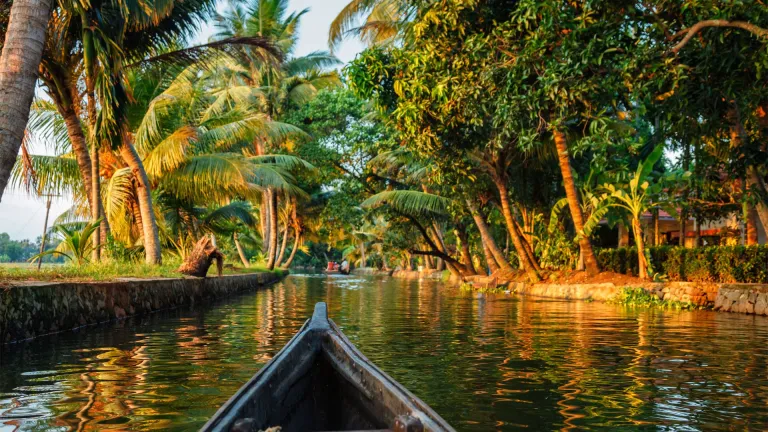 Kerala backwaters