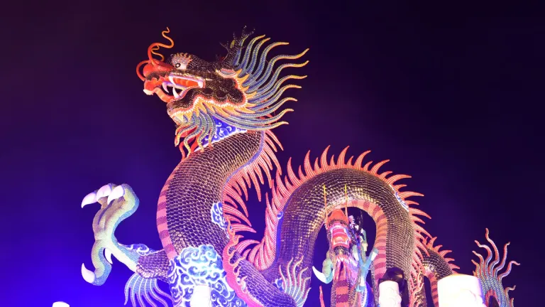 Chinese dragon, Chinese New Year