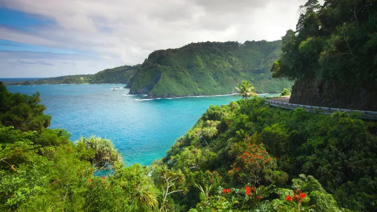 View from Road to Hana