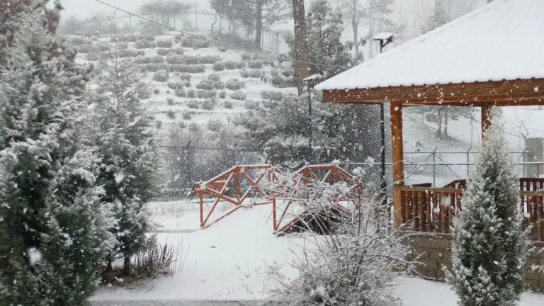 Season&#039;s First Snowfall in Srinagar