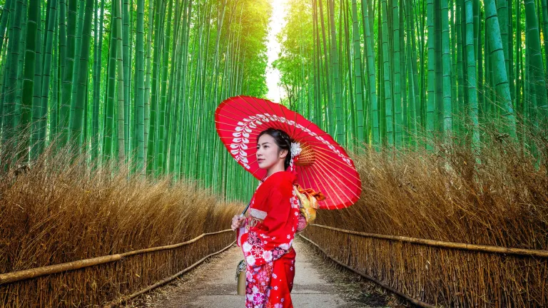 Arashiyama Bamboo Grove, Kyoto