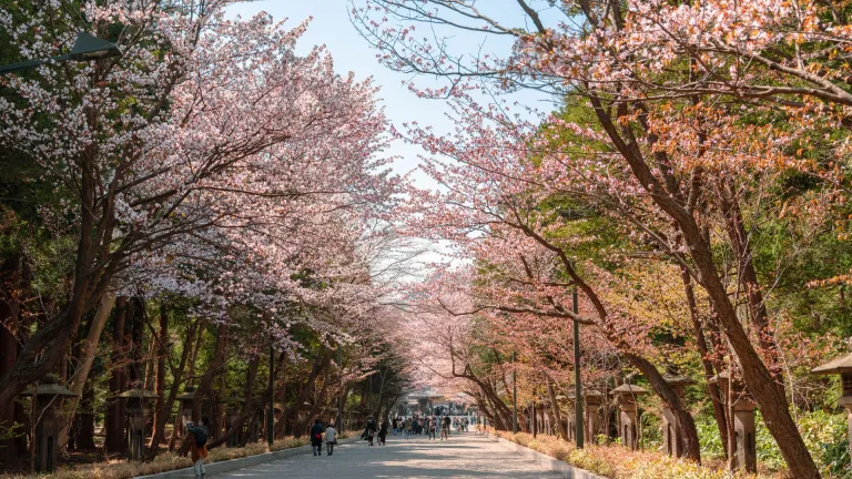 Maruyama Park, Sapporo