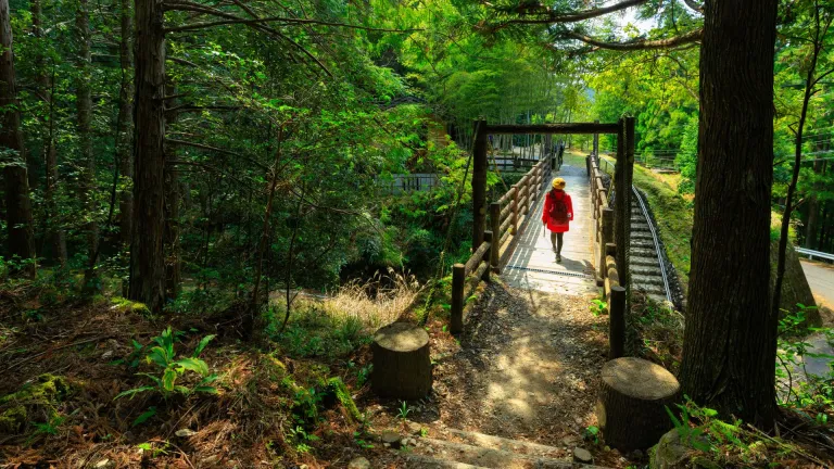 Kumano Kodo pilgrimage trail