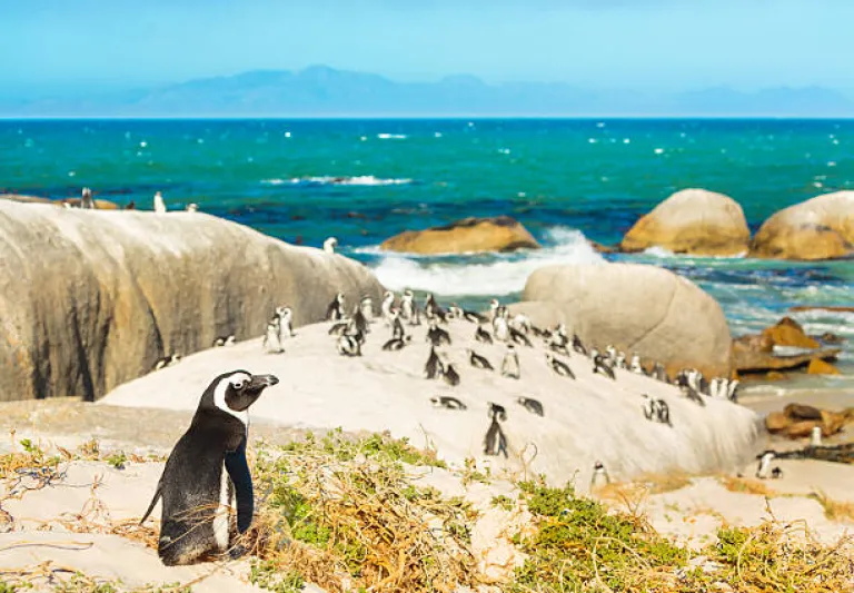Cape Town, South Africa