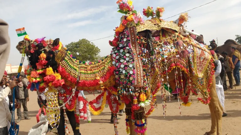 Nagaur Cattle Fair