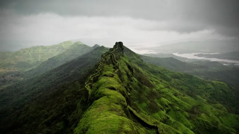 Rajgad FortBy rohit gowaikar - originally posted to Flickr as Gadancha Raja, Rajancha Gad, CC BY-SA 2.0