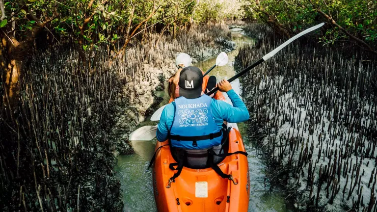 Kayaking in the Mangrove National Park