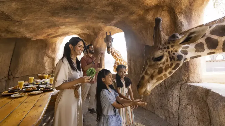 Feed a giraffe at the Emirates Park Zoo@@