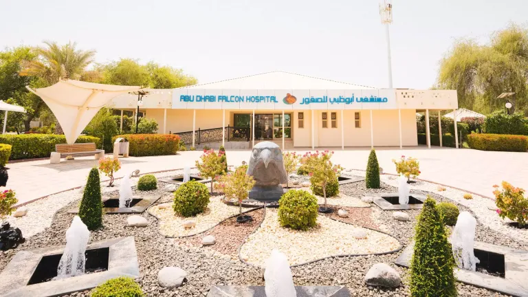 Abu Dhabi Falcon Hospital