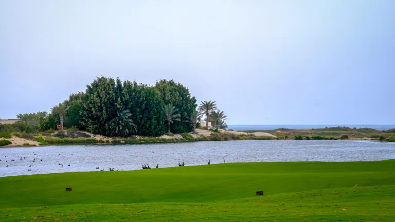 Saadiyat Golf Course, Abu Dhabi