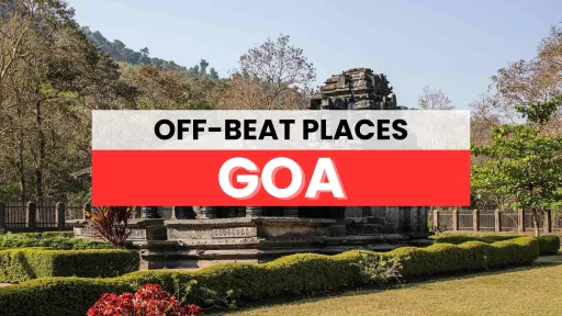 image for article Top 5 off-beat places in Goa: A guide to a different summer experience in Goa